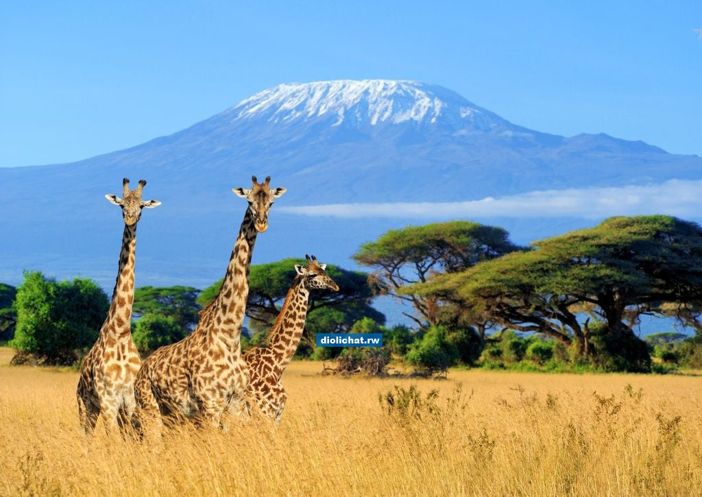 9. Mount Kilimanjaro, Tanzania