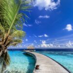 Split image showing a vibrant city street and a serene beach, representing diverse vacation destinations.