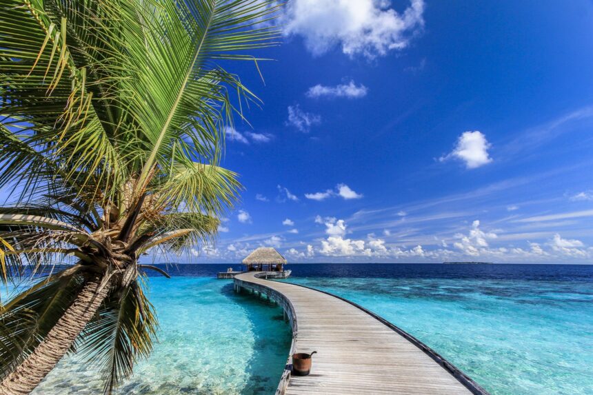 Split image showing a vibrant city street and a serene beach, representing diverse vacation destinations.