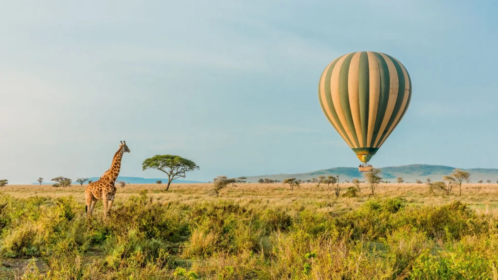 A hot air balloon floats over the Serengeti at sunrise during the Great Migration, a top travel destination for wildlife viewing