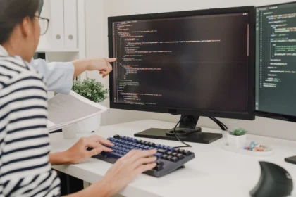 Software Developer
